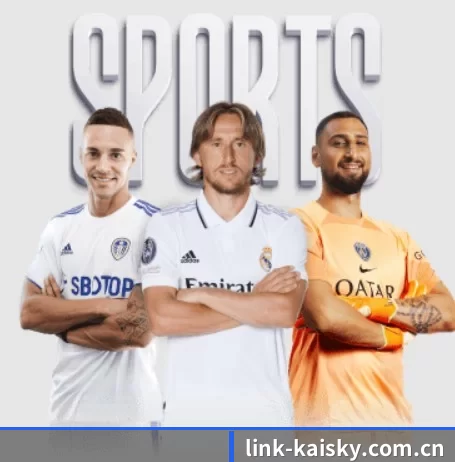 link-kaisky.com.cn APP