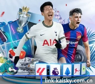 link-kaisky.com.cn APP 界面